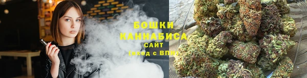 шишки Беломорск