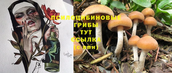 прущие крисы Остров