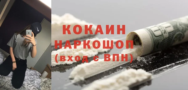 ешки Белокуриха