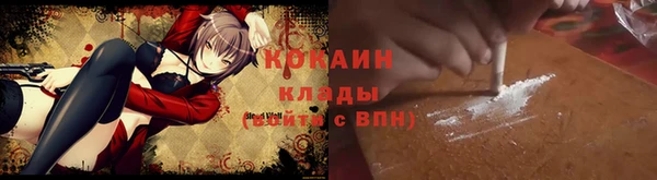 шишки Беломорск