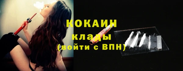 шишки Беломорск