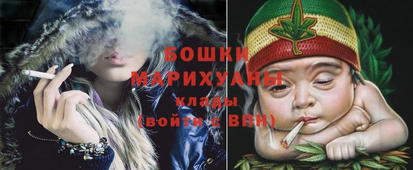 шишки Беломорск
