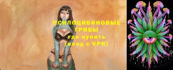 ешки Белокуриха